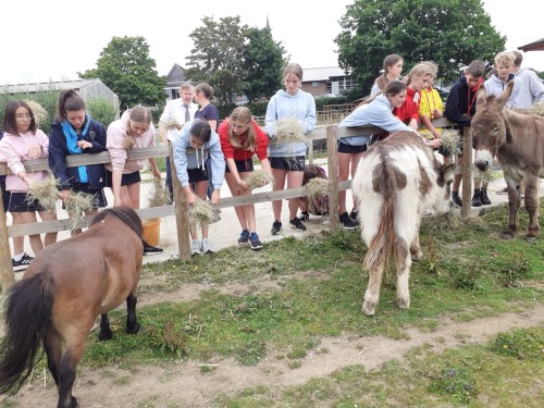 Skippers Hill school at Patchwork Farm